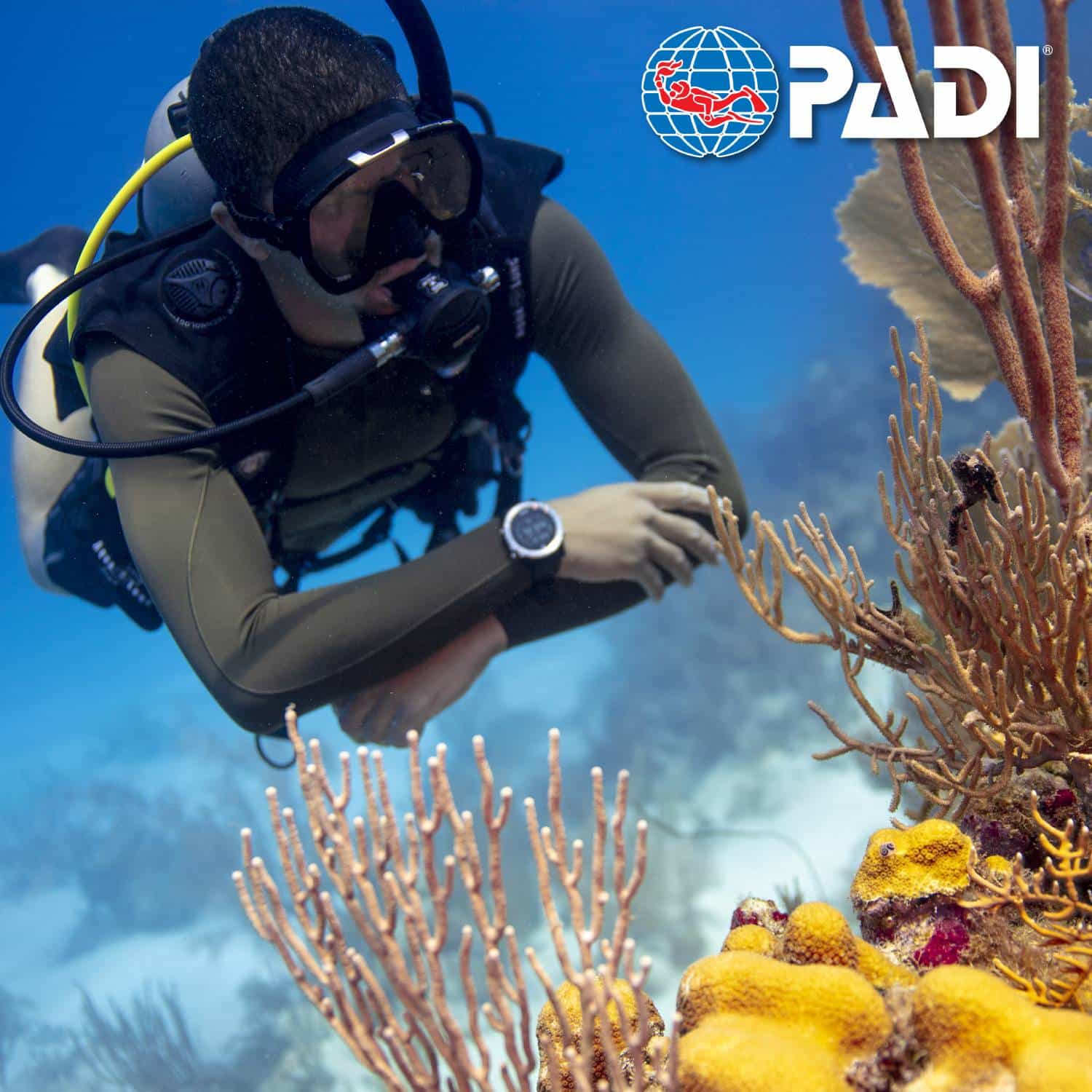 Formation Open Water Diver PADI à Panglao Bohol Philippines