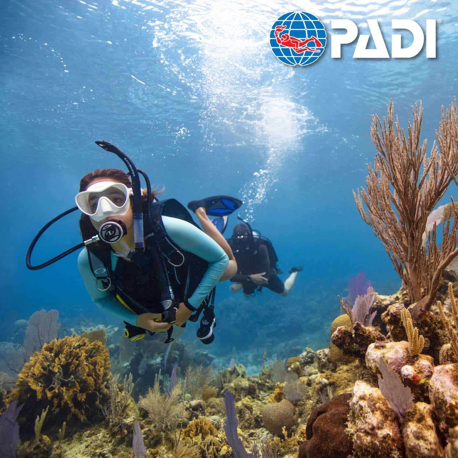 Formation Scuba Diver PADI à Panglao Bohol Philippines