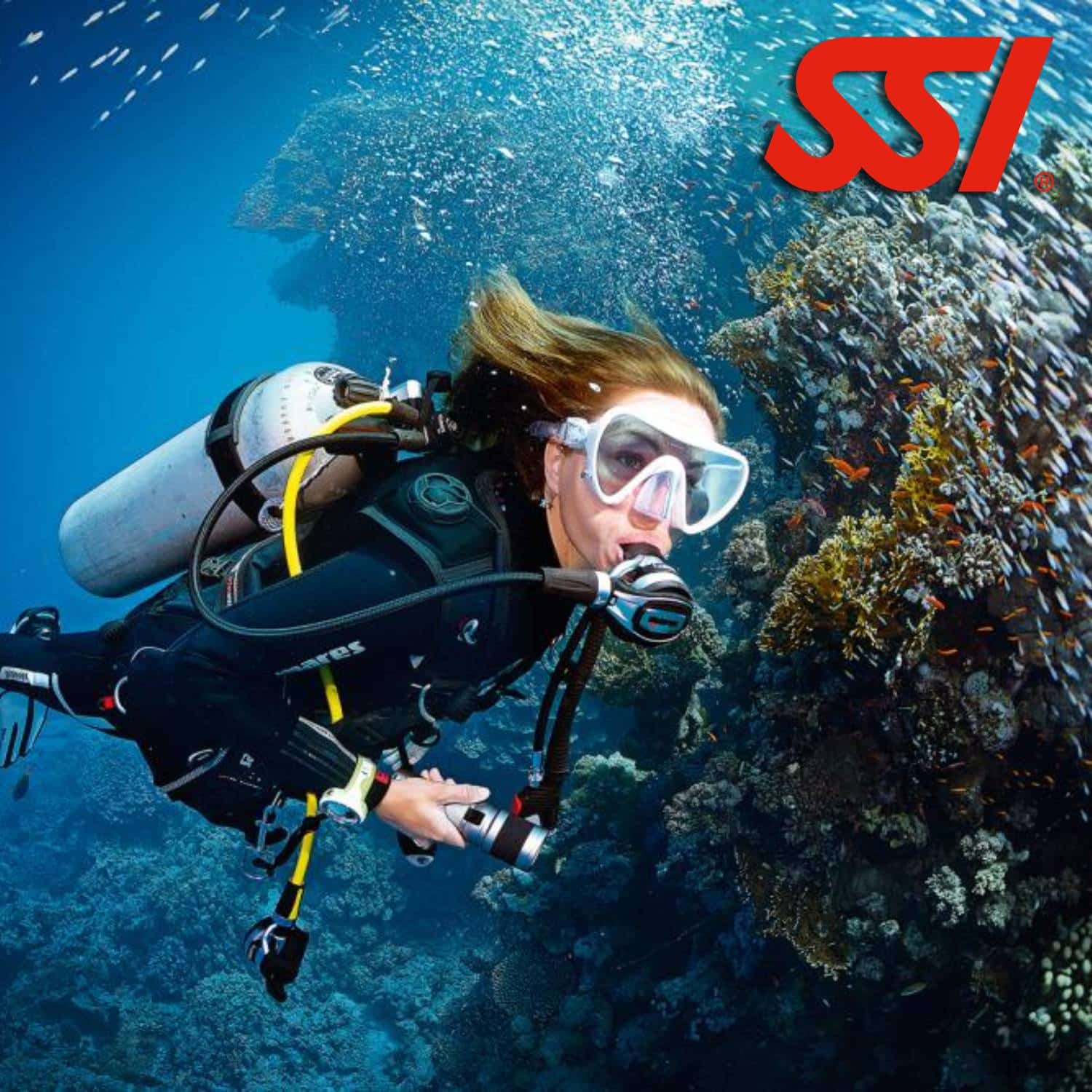 Formation Open Water Diver SSI à Panglao Bohol Philippines