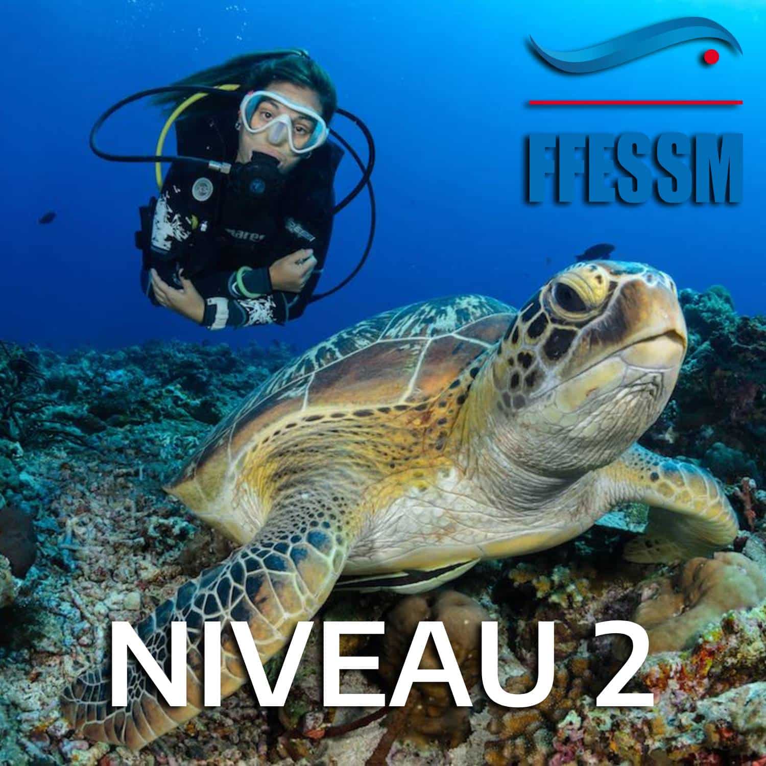 ffessm niveau 2 2