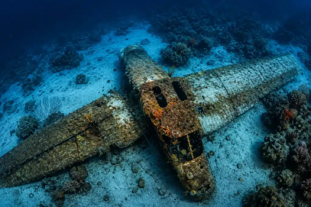Épave d'avion Plane Wreck à Panglao, récif artificiel colonisé par les coraux et la vie marine aux Philippines.