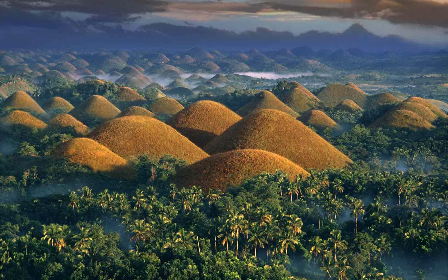 Vue panoramique des Chocolate Hills à Bohol aux Philippines