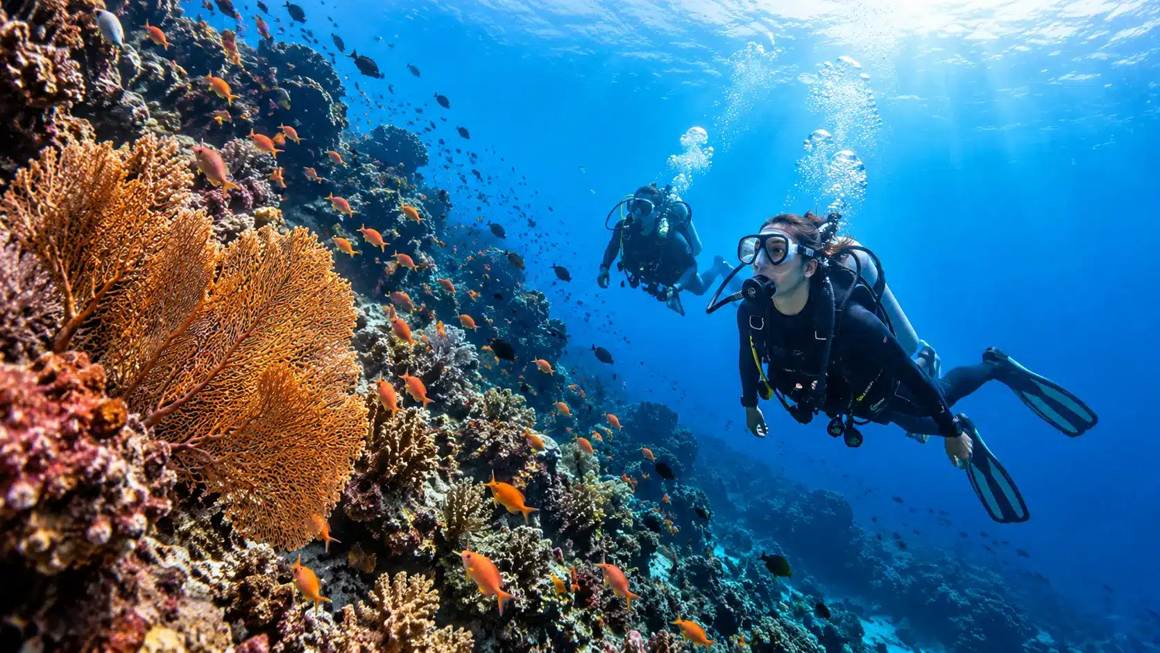 Plongeurs sur un tombant corallien à Panglao, Bohol, aux Philippines